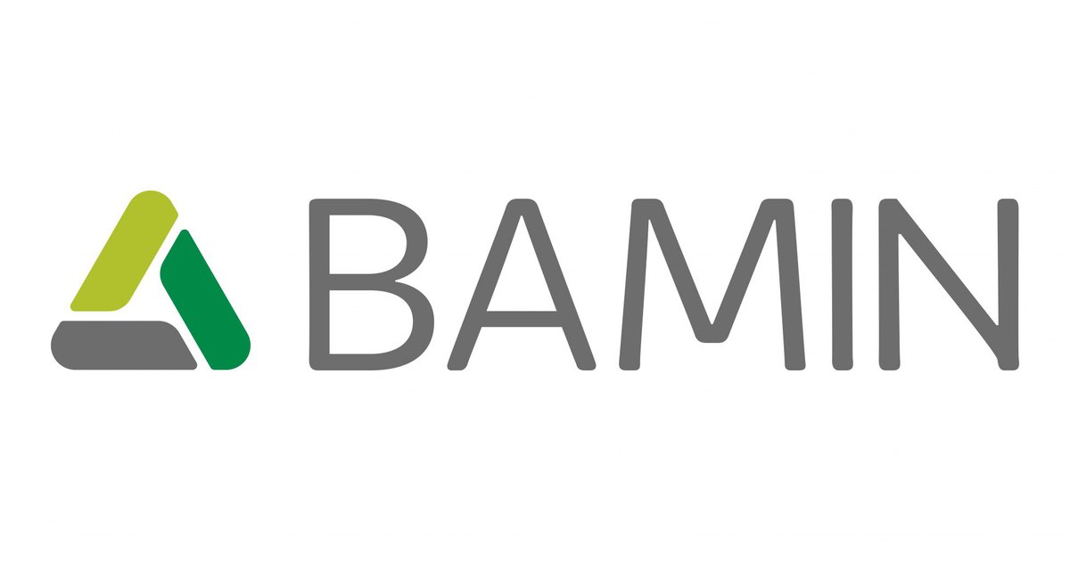 Bamin